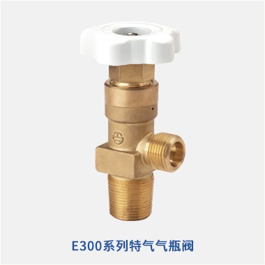 E300系列特氣氣瓶閥
